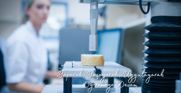 GIDA TEKNOLOJİSİ ALANI