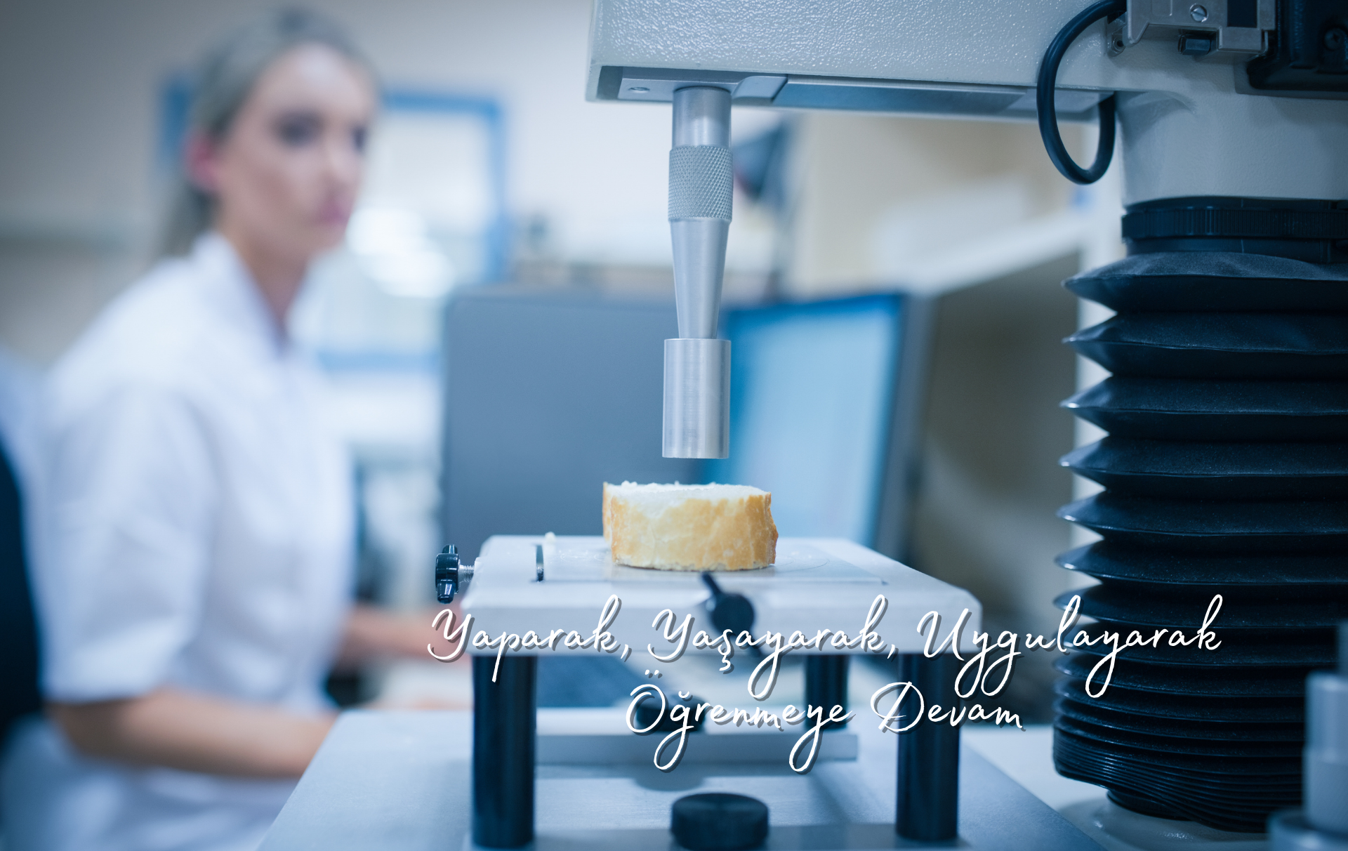 GIDA TEKNOLOJİSİ ALANI